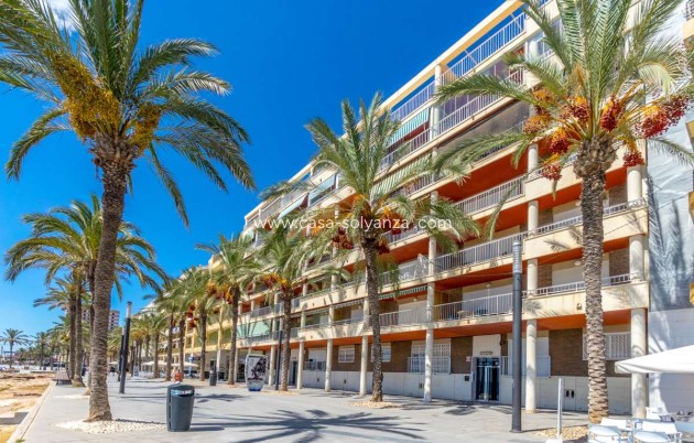 Wiederverkauf - Wohnung - Torrevieja - Costa Blanca
