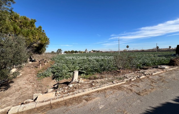 Reventa - Country Property/Finca - Dolores - Camino De La Cebada
