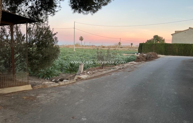 Reventa - Country Property/Finca - Dolores - Camino De La Cebada