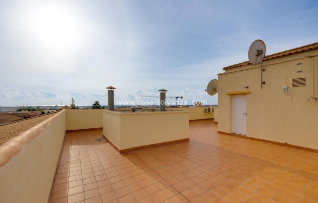 Herverkoop - Appartement / flat - Pilar de la Horadada