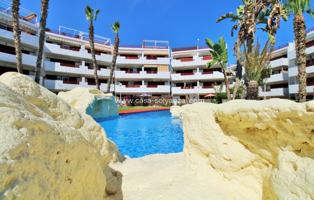 Revente - Appartement - Playa Flamenca