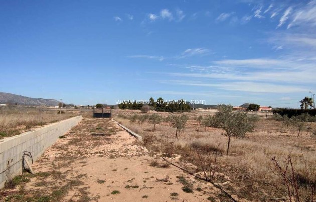 Wiederverkauf - Country Property/Finca - Pinoso - Inland