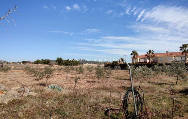 Wiederverkauf - Country Property/Finca - Pinoso - Inland