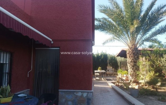 Resale - Villa - Elche - Costa Blanca