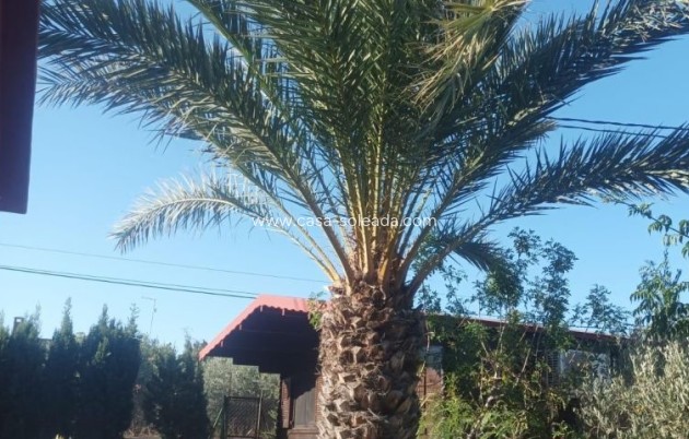 Resale - Villa - Elche - Costa Blanca