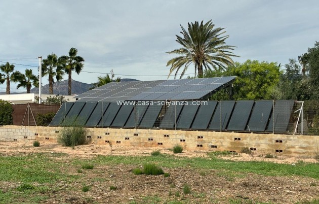 Revente - Villa - Crevillente - Crevillent