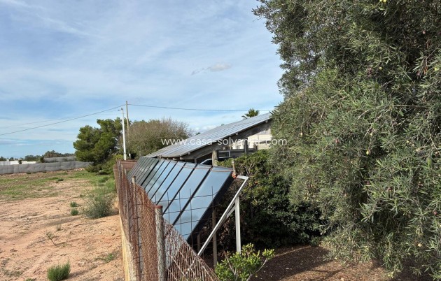 Revente - Villa - Crevillente - Crevillent