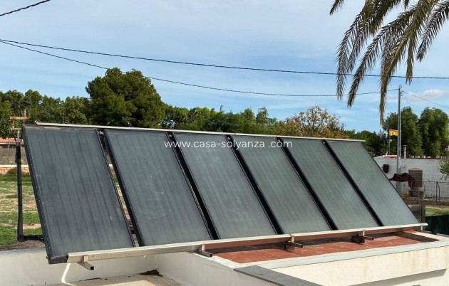 Revente - Villa - Crevillente - Crevillent