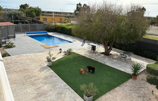 Revente - Villa - Crevillente - Crevillent