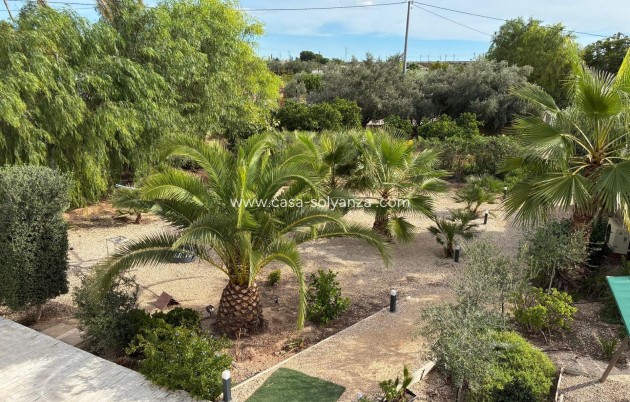 Revente - Villa - Crevillente - Crevillent