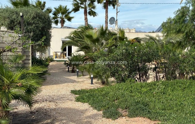 Revente - Villa - Crevillente - Crevillent