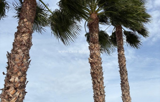 Revente - Villa - Crevillente - Crevillent