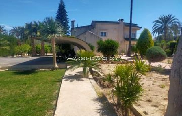 Resale - Villa - Elche - Costa Blanca