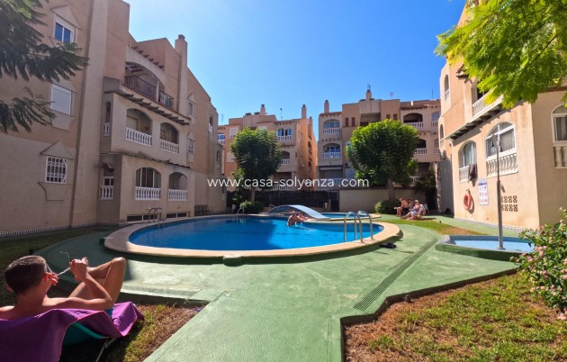 Revente - Appartement - Torrevieja - Playa del Cura
