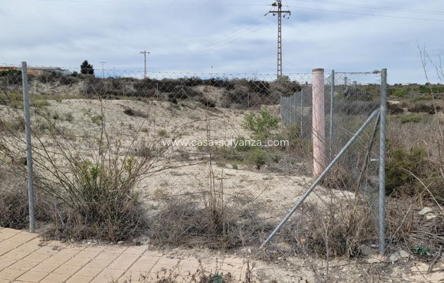 Herverkoop - Land - Torremendo
