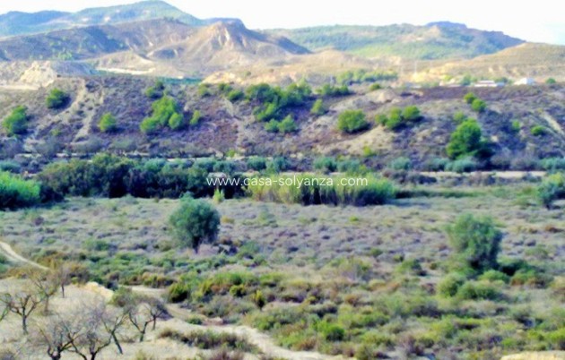 Wiederverkauf - Land - Torremendo