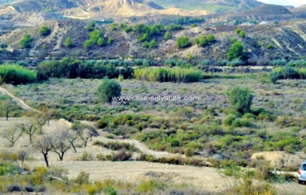 Wiederverkauf - Land - Torremendo