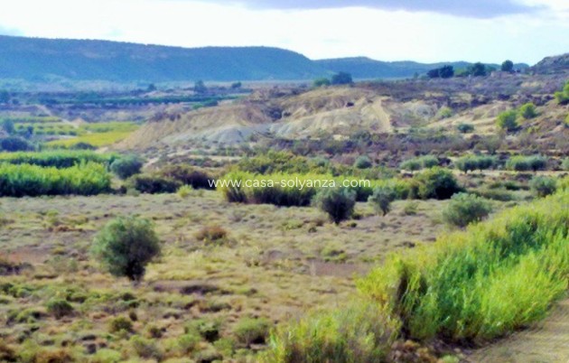 Wiederverkauf - Land - Torremendo