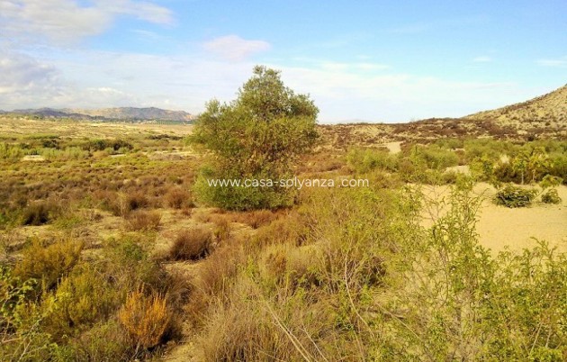 Wiederverkauf - Land - Torremendo