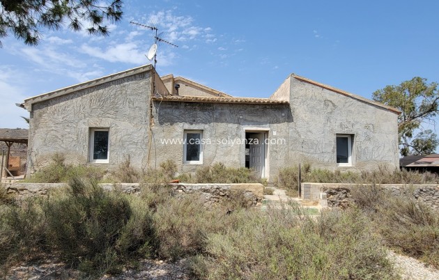 Wiederverkauf - Finca / Country Property - Torremendo