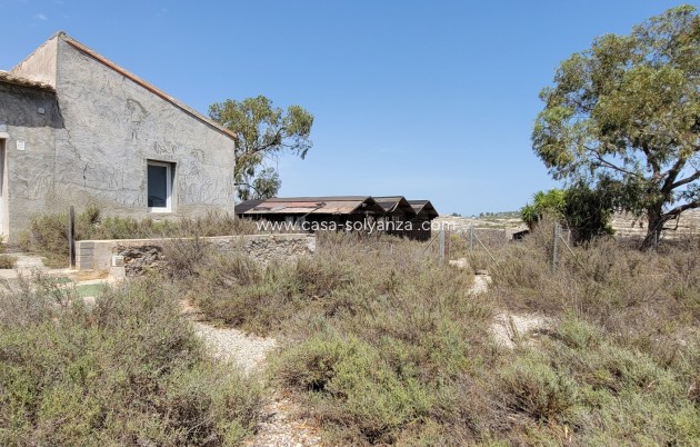 Wiederverkauf - Finca / Country Property - Torremendo