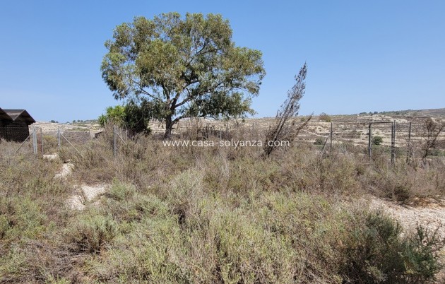 Wiederverkauf - Finca / Country Property - Torremendo