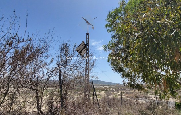 Wiederverkauf - Finca / Country Property - Torremendo