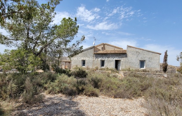 Wiederverkauf - Finca / Country Property - Torremendo