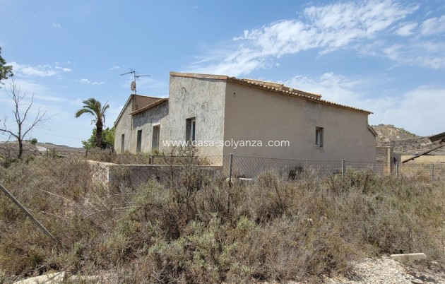 Wiederverkauf - Finca / Country Property - Torremendo