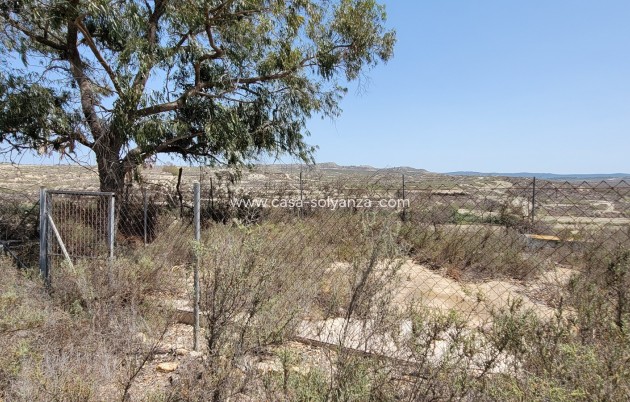 Wiederverkauf - Finca / Country Property - Torremendo