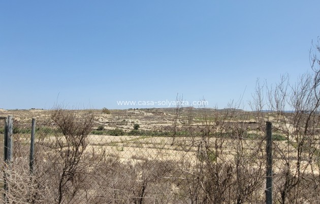 Wiederverkauf - Finca / Country Property - Torremendo