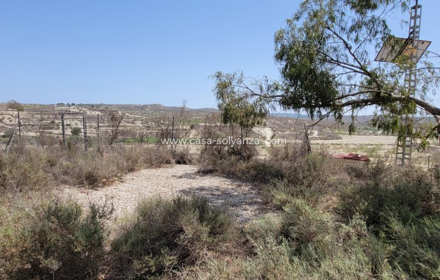 Wiederverkauf - Finca / Country Property - Torremendo