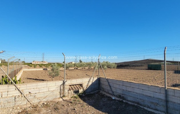 Wiederverkauf - Finca / Country Property - San Miguel de Salinas