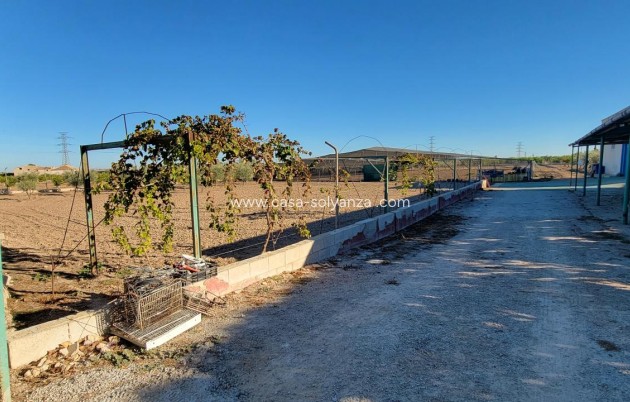 Wiederverkauf - Finca / Country Property - San Miguel de Salinas