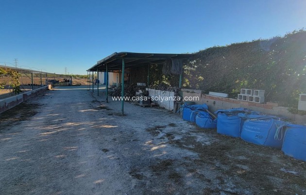 Wiederverkauf - Finca / Country Property - San Miguel de Salinas