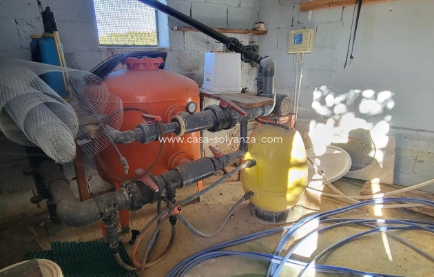 Wiederverkauf - Finca / Country Property - San Miguel de Salinas