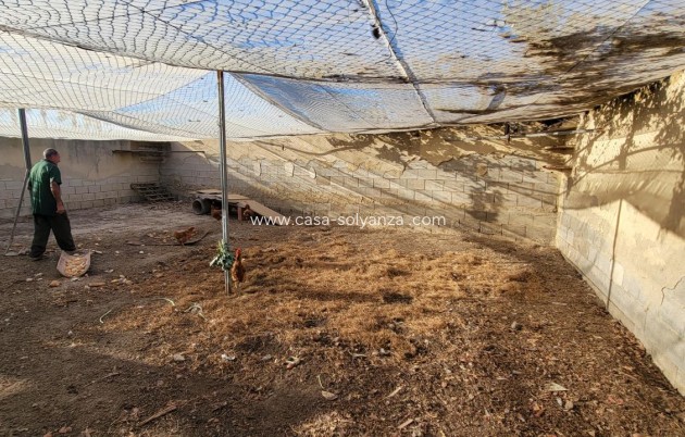 Wiederverkauf - Finca / Country Property - San Miguel de Salinas