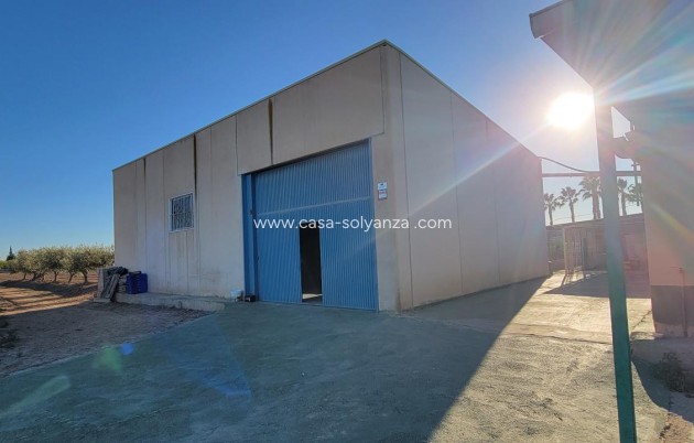 Wiederverkauf - Finca / Country Property - San Miguel de Salinas