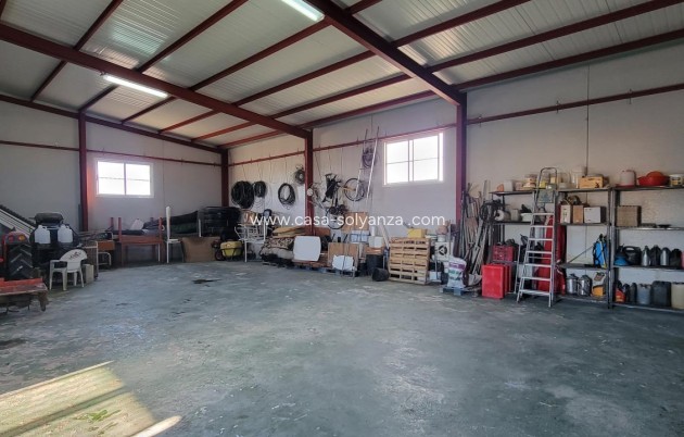 Wiederverkauf - Finca / Country Property - San Miguel de Salinas