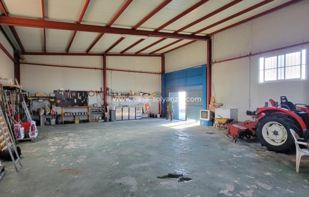 Wiederverkauf - Finca / Country Property - San Miguel de Salinas