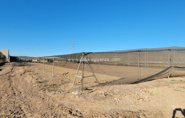 Wiederverkauf - Finca / Country Property - San Miguel de Salinas