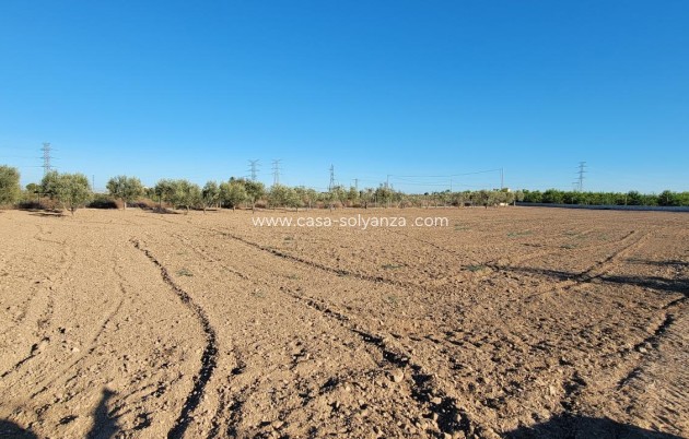 Wiederverkauf - Finca / Country Property - San Miguel de Salinas