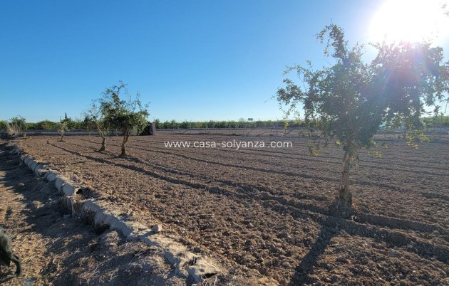 Wiederverkauf - Finca / Country Property - San Miguel de Salinas
