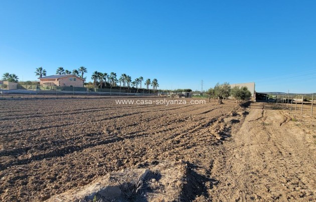 Wiederverkauf - Finca / Country Property - San Miguel de Salinas