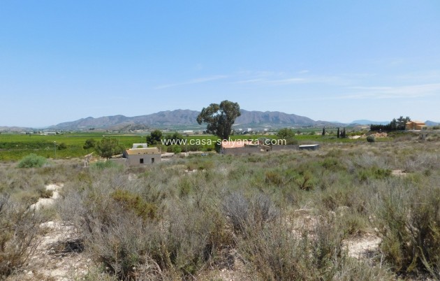 Revente - Land - Fortuna - Fortuna (murcia)