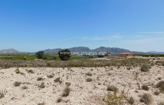 Revente - Land - Fortuna - Fortuna (murcia)