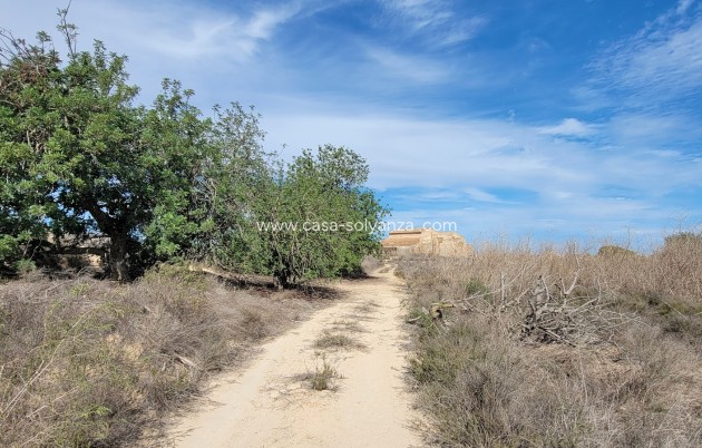 Herverkoop - Finca / Country Property - San Miguel de Salinas