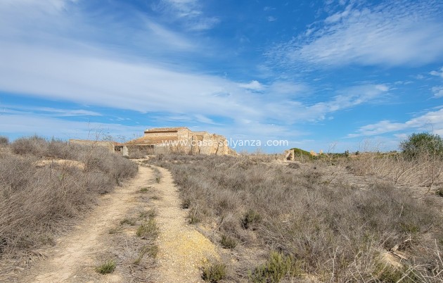 Herverkoop - Finca / Country Property - San Miguel de Salinas