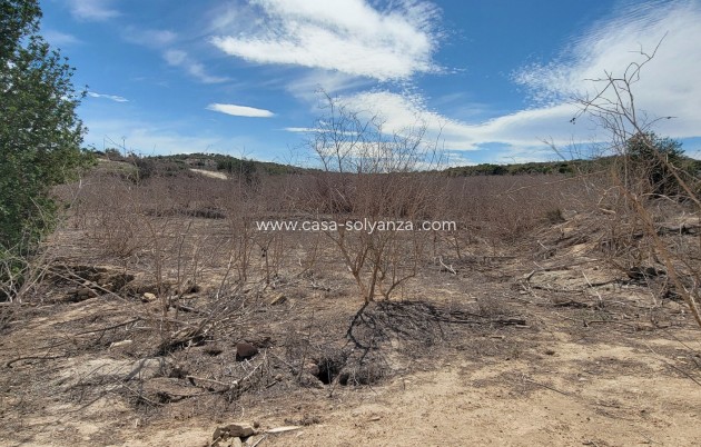 Herverkoop - Finca / Country Property - San Miguel de Salinas