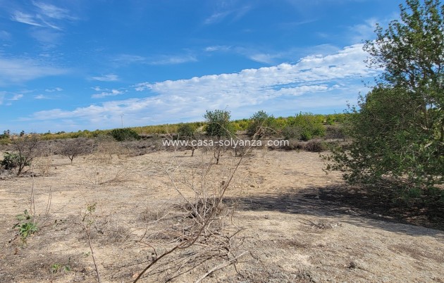 Herverkoop - Finca / Country Property - San Miguel de Salinas